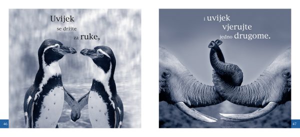Dar knjiga - UPRAVO VJENČANI - Slika 2